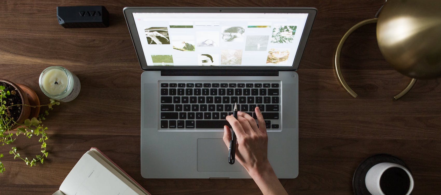 A Schomburgk Samantha